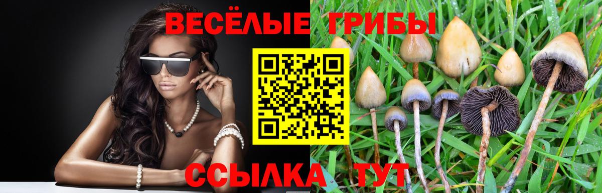 Галлюциногенные грибы MAGIC MUSHROOMS  Вход с VPN  Алушта  Галлюциногенные грибы прущие грибы 
