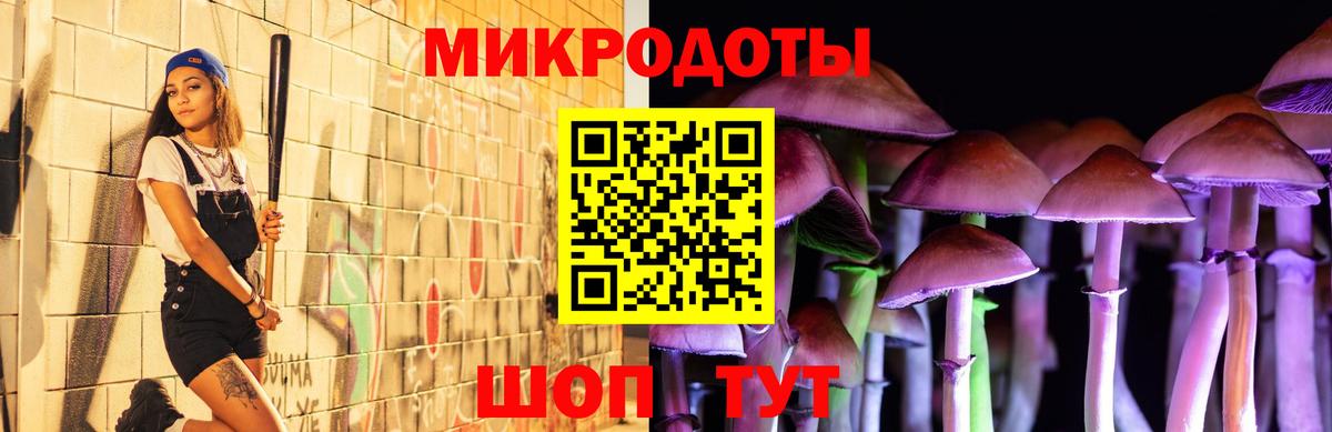 Псилоцибиновые грибы Psilocybe Алушта